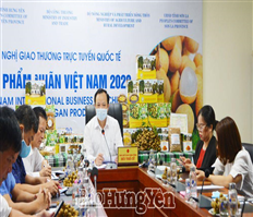 Hội nghị giao thương trực tuyến quốc tế sản phẩm nhãn Việt Nam 2020