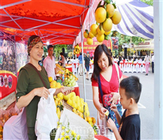 Một số hình ảnh tại Phiên chợ cam Hưng Yên năm 2020