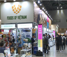 Doanh nghiệp Việt Nam khẳng định vị thế tại Triển lãm Thực phẩm lớn nhất Hàn Quốc