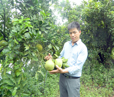 Người nông dân Hưng Yên làm kinh tế giỏi được tặng Huân chương Lao động hạng Ba