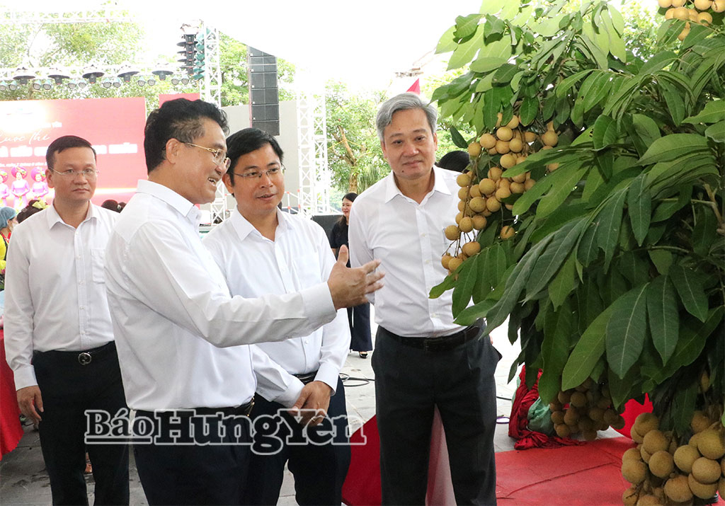 Bảo đảm để Lễ hội và xúc tiến thương mại nhãn lồng Hưng Yên năm 2026 diễn ra an toàn, thành công