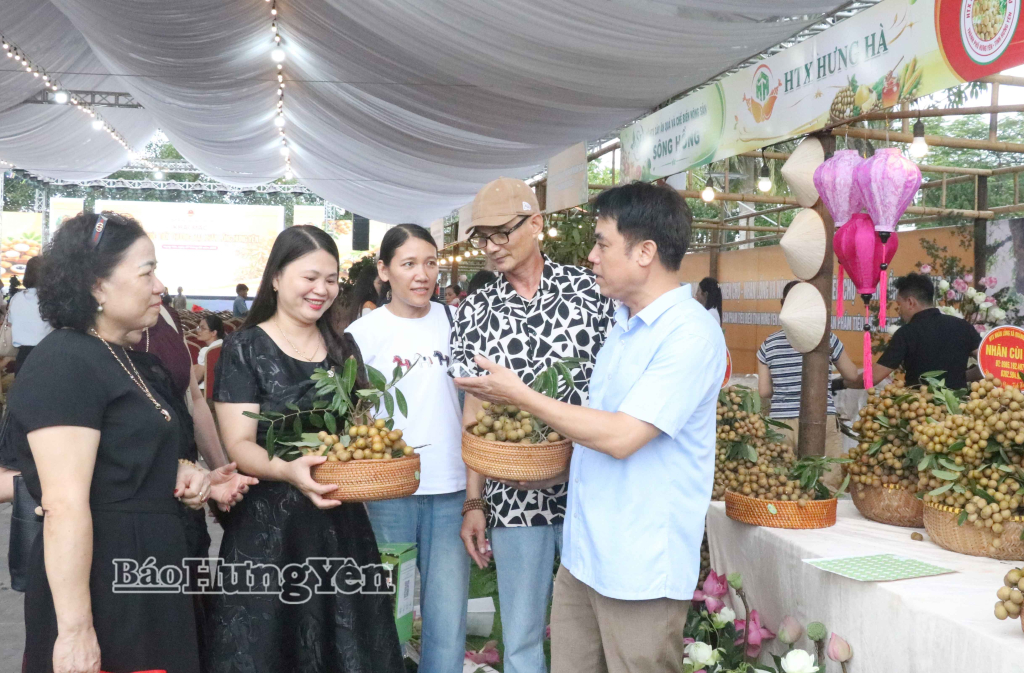 Dấu ấn đậm nét Lễ hội và xúc tiến thương mại Nhãn lồng Hưng Yên năm 2026
