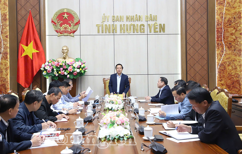 Nghiên cứu, đề xuất các giải pháp phát triển vùng sản xuất tập trung, quy mô lớn, nông nghiệp công nghệ cao