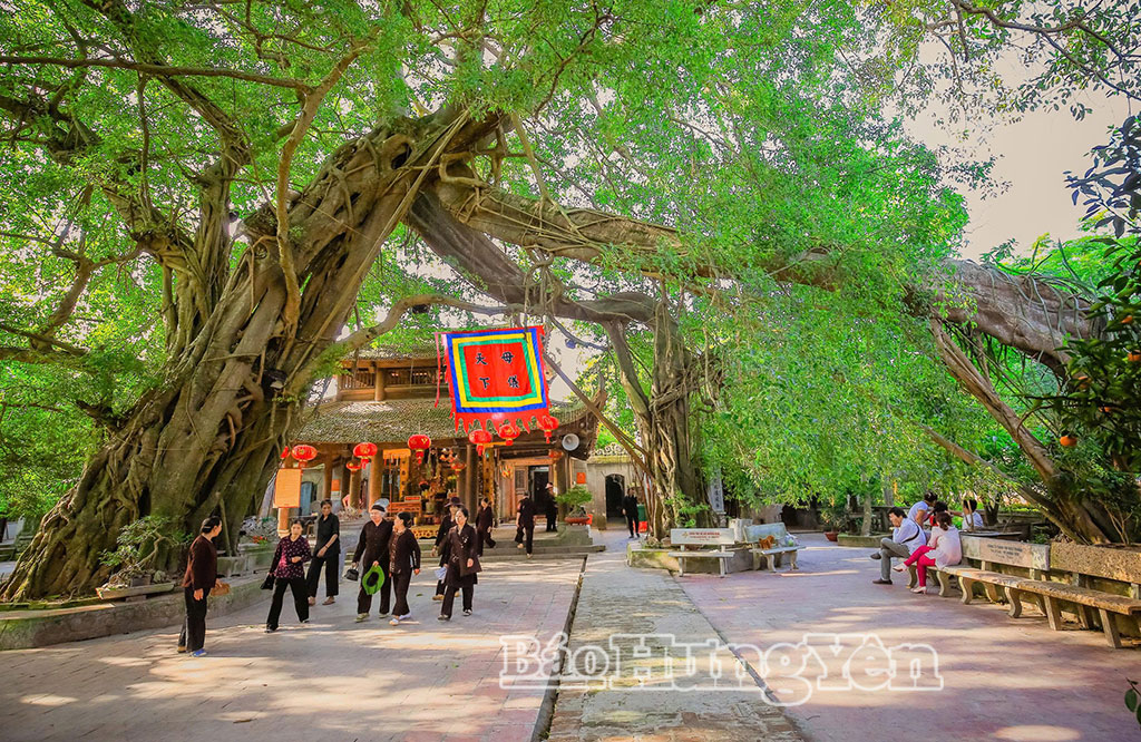 Di sản bước vào không gian số