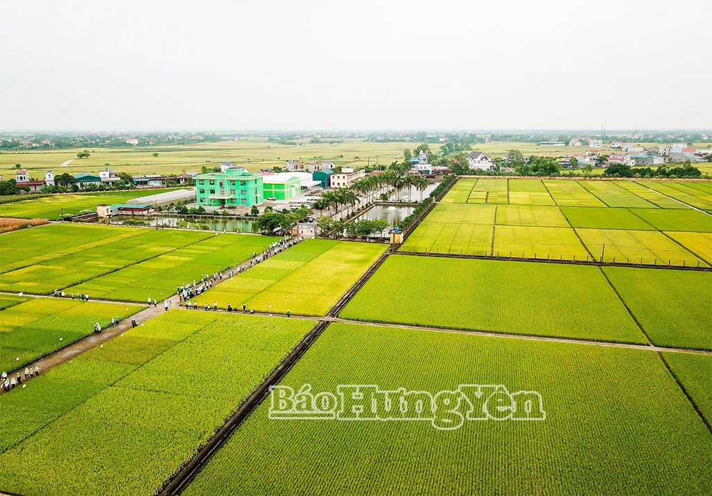 Phát triển hệ thống trung tâm, viện nghiên cứu giống cây trồng