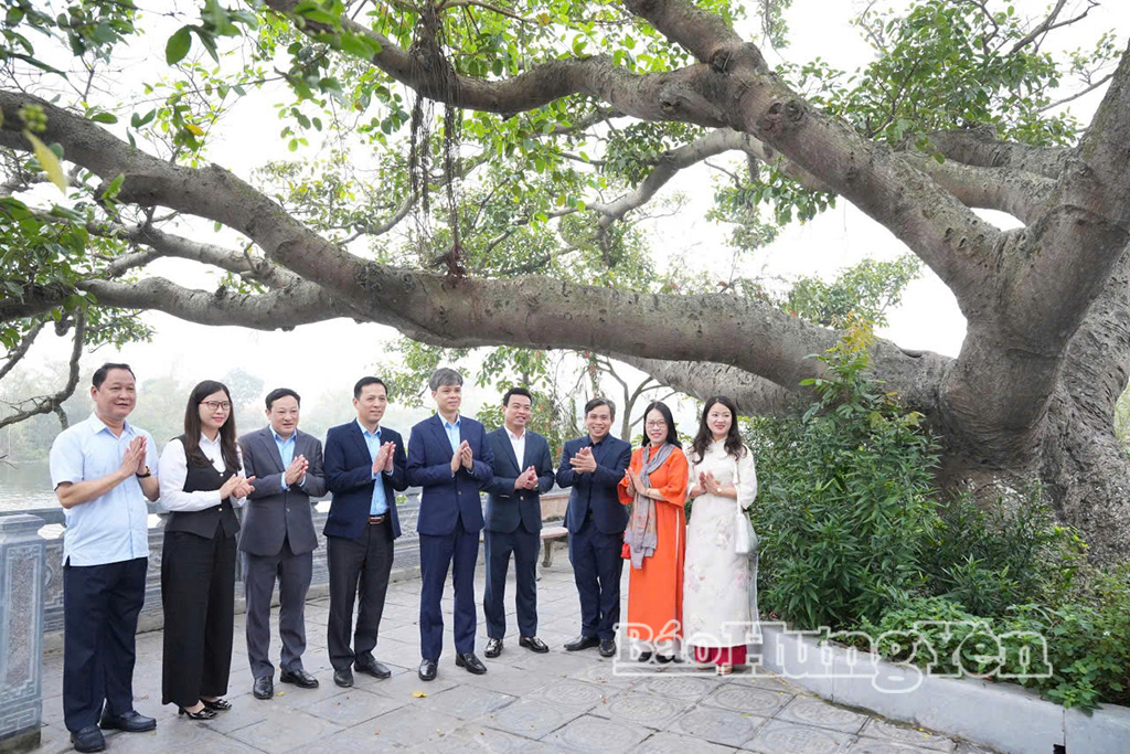 Dâng hương, dâng hoa tại Khu di tích lịch sử cây đa Sài Thị