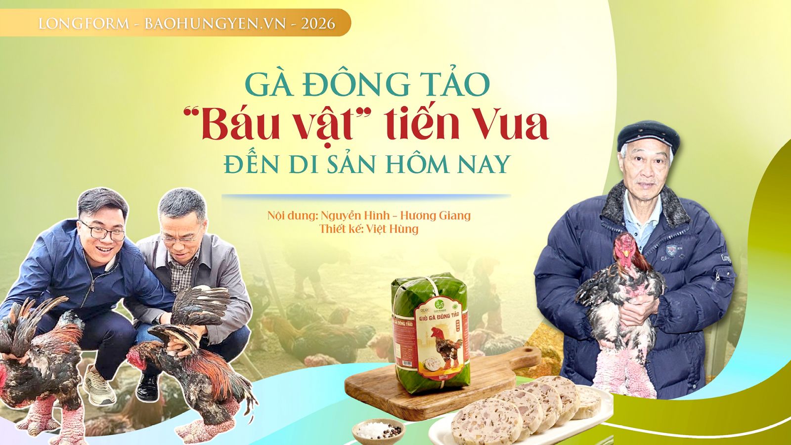 Gà Đông Tảo: "Báu vật" tiến Vua đến di sản hôm nay