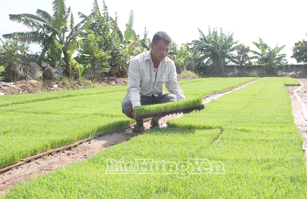 Kỳ 2: "Mở đường" để nông nghiệp phát triển