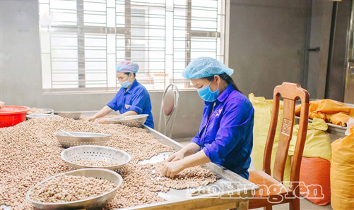 Nâng tầm thương hiệu sen Hưng Yên