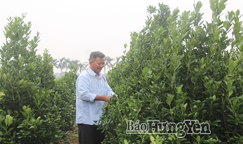 Xây dựng phường Trà Lý trở thành trung tâm văn hóa, vui chơi, giải trí và phát triển du lịch