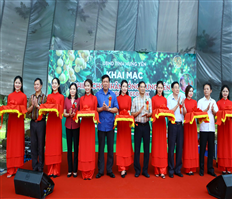 Khai mạc phiên chợ nhãn lồng Hưng Yên năm 2018