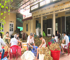 Hiệu quả từ các hoạt động xúc tiến, quảng bá nhãn Hưng Yên