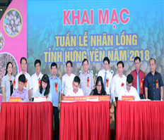Khai mạc Tuần lễ nhãn lồng Hưng Yên tại Hà Nội