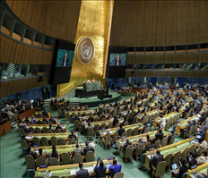 Việt Nam tăng cường đối tác toàn cầu vì một thế giới hòa bình và phát triển bền vững