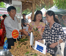 Niềm vui về một vụ nhãn nghìn tỷ