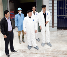Chủ tịch UBND tỉnh Nguyễn Văn Phóng kiểm tra công tác phòng, chống bệnh dịch tả lợn Châu Phi