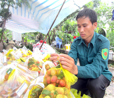 Sweet and clean litchi in Phu Cu district
