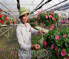 Làng nghề ở Hưng Yên rộn ràng vào vụ tết