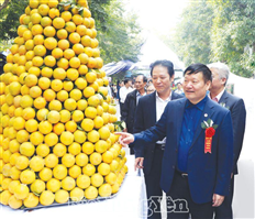 ĐOÀN KẾT, KHÁT VỌNG VƯƠN LÊN BỨT PHÁ MẠNH MẼ THỰC HIỆN THẮNG LỢI NHIỆM VỤ PHÁT TRIỂN KINH TẾ - XÃ HỘI, CHÀO MỪNG ĐẠI HỘI ĐẢNG BỘ CÁC CẤP NHIỆM KỲ 2020 – 2025