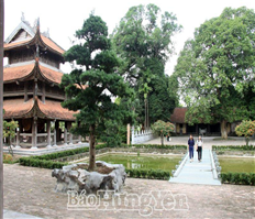 Visit Van Lam district to explore ancient features of Vietnamese countryside