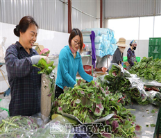 Bài 2: Sản xuất nông nghiệp vượt khó, đạt mức tăng trưởng khá