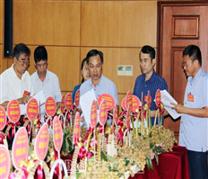 Hưng Yên sôi động hội thi nhãn ngon năm 2020