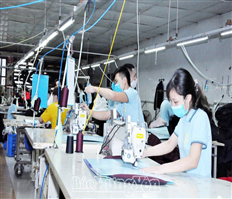 Doanh nghiệp, doanh nhân tiên phong trong phát triển kinh tế