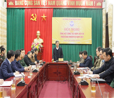 The teleconference summarizing the work in 2020 and implementing the tasks for 2021 of the Information and Communications sector