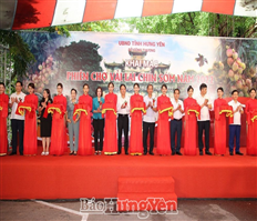Hung Yen province: Early-ripening hybrid lychee fair 2022 kicks off
