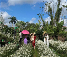 Dịch vụ trồng hoa phục vụ khách tham quan, chụp ảnh