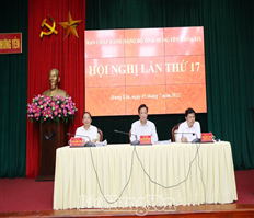 The 17th Conference of the Party Executive Committee of Hung Yen province, term 19