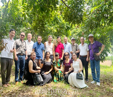 Attractive eco-tourism space in the ripe longan season