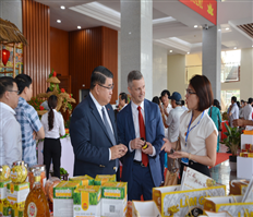 Digital transformation in commercial and service activities