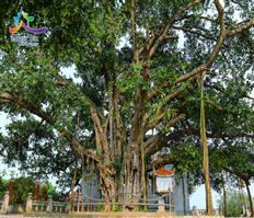 Hung Yen province- Attractive destinations