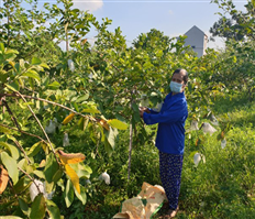 Động lực cho vùng đất bãi phát triển
