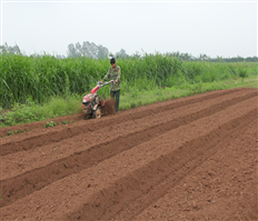 To promote mechanization in agricultural production