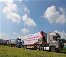 Mở thị trường tiêu thụ cho mặt hàng quả vải và nhãn