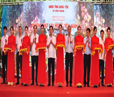 The early-ripening hybrid litchi fair opened