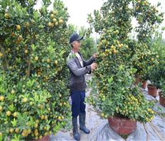 The promotion of consumption of OCOP products