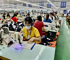 Tháo gỡ khó khăn cho doanh nghiệp xuất khẩu