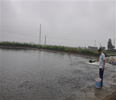 Phát triển kinh tế trang trại thúc đẩy chuyển đổi cơ cấu cây trồng, vật nuôi