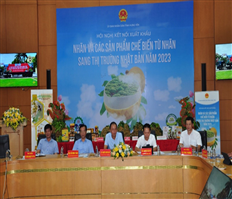 Hung Yen province: Connect exportation of longan and longan products to Japanese market