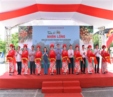 Opening Longan Week - Typical agricultural products of Hung Yen province in Quang Ninh