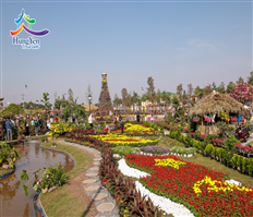 Brilliant 3rd Xuan Quan flower festival in 2023