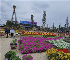 Xã Xuân Quan: Nâng tầm sản phẩm hoa, cây cảnh địa phương