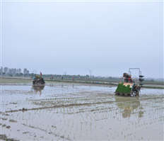 Sản xuất nông nghiệp hữu cơ