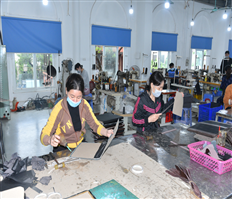 Thúc đẩy phát triển sản phẩm OCOP