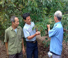 Sử dụng công nghệ nano tạo sản phẩm nông nghiệp sạch