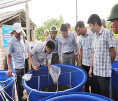 Tham quan mô hình sản xuất nhân tạo giống và nuôi thương phẩm tôm càng sông