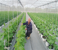 Khơi dậy sức dân trong xây dựng nông thôn mới